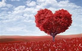 &quot;Flower Delivery to Nj